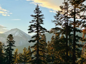 Mountainback #116, Loft,Corner Mammoth Lakes